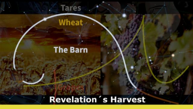 Image displaying a thematic representation of agricultural elements combined with celestial mappings; featuring labeled sections &ldquo;Tares,&rdquo; &ldquo;Wheat,&rdquo; and &ldquo;The Barn.&rdquo; A main caption reads &ldquo;Revelation's Harvest&rdquo; under a large elliptical overlay that encircles the wheat image, with a backdrop that hints at a star chart, inspired by the biblical Mazzaroth. Opens a new window with the video.