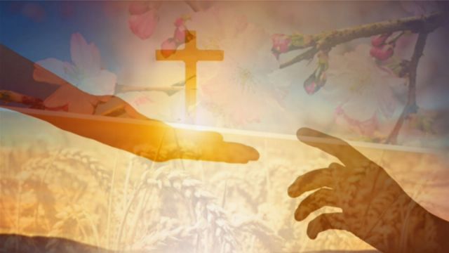 A composite image featuring a cross illuminated by sunlight at the center, overlaid with transparent imagery of outstretched human hands reaching towards each other, set against a backdrop of a wheat field and pink blossoms with soft focus. Opens a new window with the video.