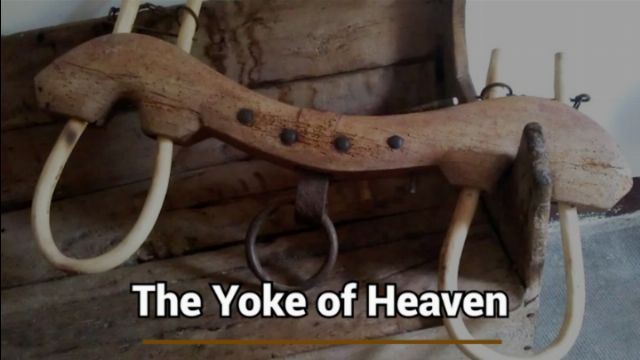 An aged wooden yoke with curved segments and metal rings lies against an old white wall, symbolically referred to as &ldquo;The Yoke of Heaven.&rdquo; Opens a new window with the video.