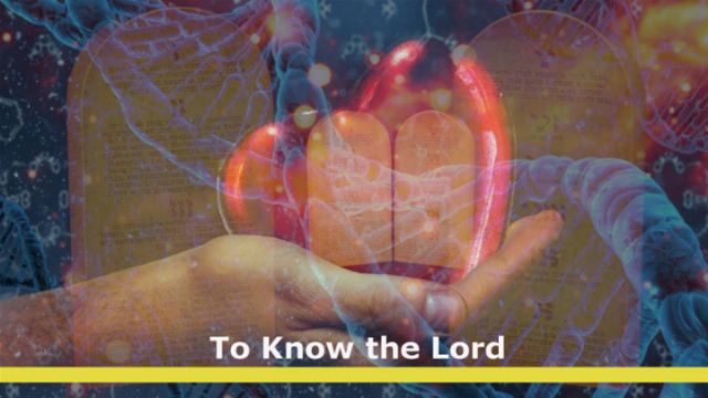 An artistic image depicting two hands touching, surrounded by abstract cosmic patterns and a glowing heart between them. The background is filled with celestial motifs and stylized DNA strands, enhancing a spiritual theme with the text &ldquo;To Know the Lord&rdquo; at the bottom. Opens a new window with the video.