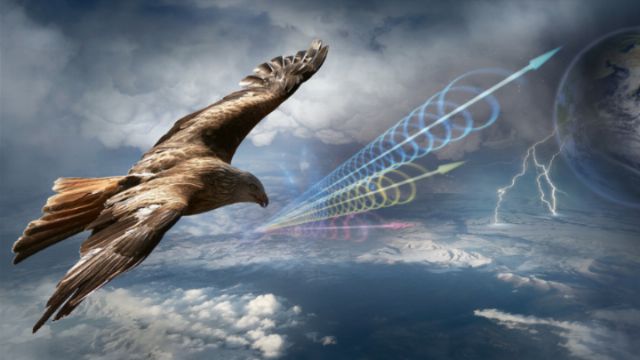 A majestic eagle soars high above Earth, with its wings spread wide in flight against a dynamic backdrop featuring vibrant light rings suggestive of cosmic phenomena and atmospheric disturbances such as lightning. Opens a new window with the video.