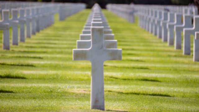 Rows of white cross markers aligned on a manicured green lawn under a clear sky, symbolizing remembrance. Opens a new window with the video.