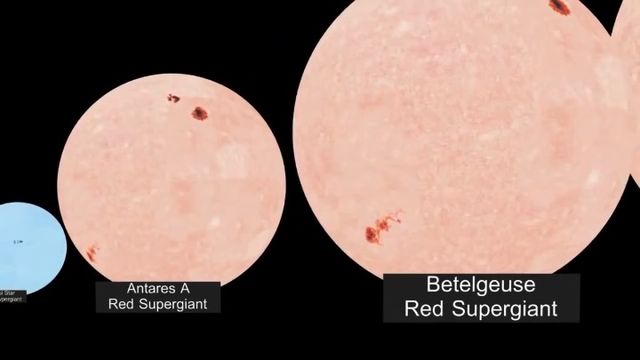 Comparative illustration of two red supergiant stars, Antares A and Betelgeuse, shown in varying scales with a smaller blue dot representing the sun. Each star is labeled with its name and the designation &ldquo;Red Supergiant&rdquo;. Opens a new window with the video.