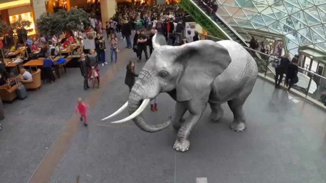A digitally imposed elephant stands in the center of a bustling shopping mall with multiple levels and a glass ceiling. People of various ages are scattered around the mall, some walking and others seated at dining tables. Opens a new window with the video.