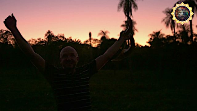 A silhouette of a man joyfully raising his arms against a twilight sky, with the first appearance of evening stars, surrounded by soft outlines of palm trees. Opens a new window with the video.