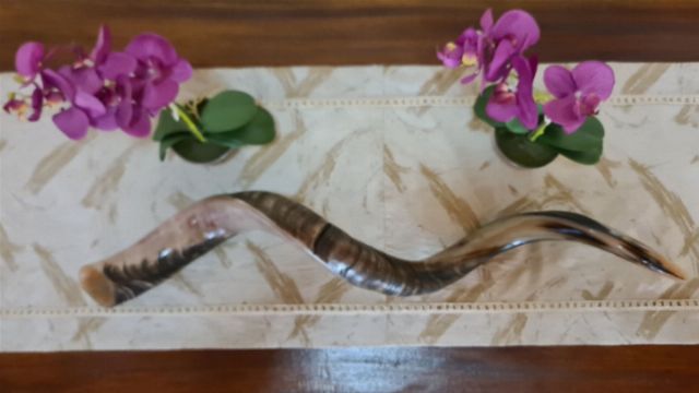 Decorative horn displayed on a marbled runner, flanked by two vibrant orchids with magenta blossoms and green leaves. The horn has a swirling pattern, reflecting light with shades of brown and grey. Opens a new window with the video.